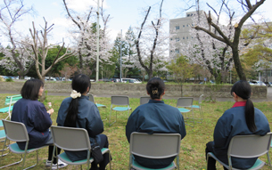 さくら呈茶会 (3)
