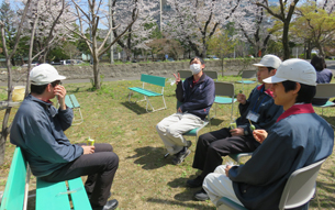 さくら呈茶会 (4)